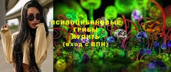 молекула духа Алексин