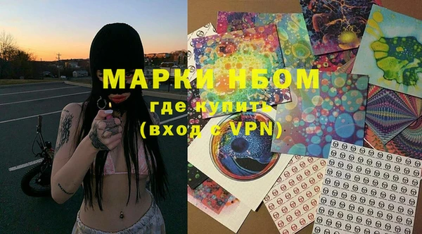 молекула духа Алексин